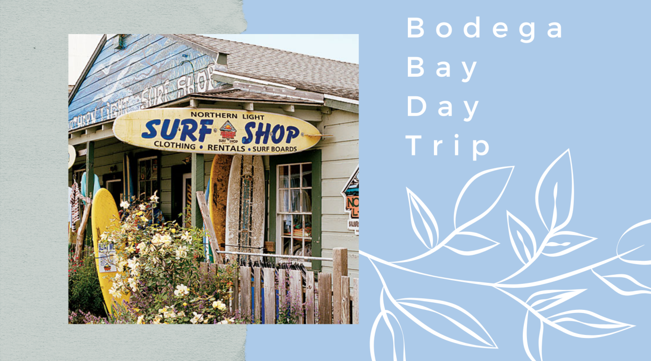 Photo of a worn down Surf Shop of the left; the right is light blue with white leaf accents and reads "Bodega Bay Day Trip"