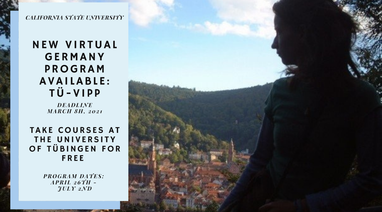A female is looking out to a green covered hills and a European city below with info on the virtual Tü-VIPP program