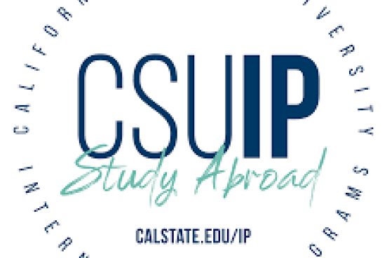 csu international prorams logo