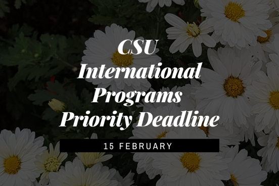 A picture of daises with a reminder to the CSU IP priority deadline (Feb 15)