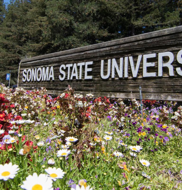 Sonoma State University sign at the main entrance into the campus