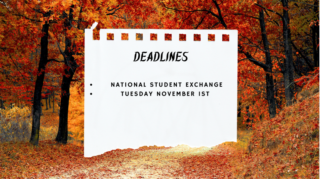 Deadline for NSE is November 1st