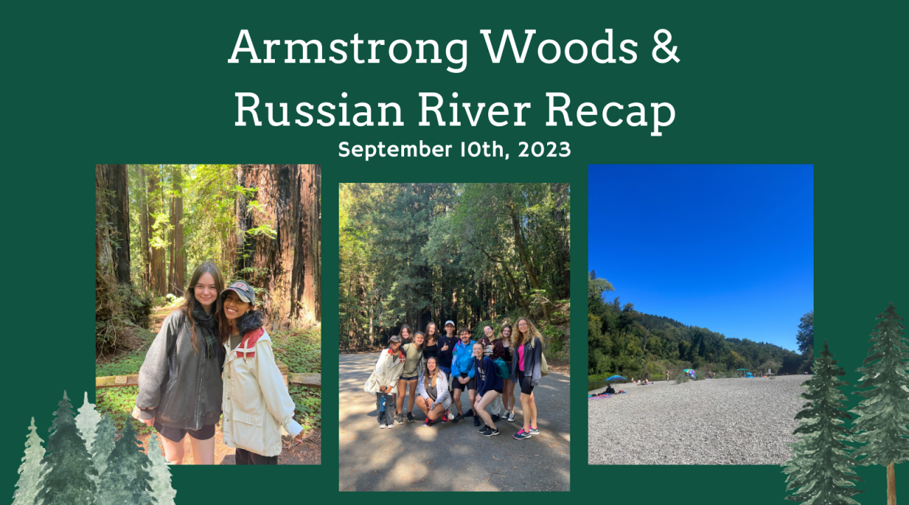 A few pictures from students at Armstrong Woods and River trip