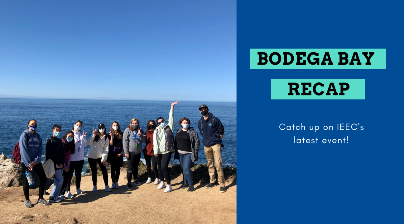 Left is an imgae of a group infront of the ocean; right reads "Bodega Bay Recap" on a navy blue banner