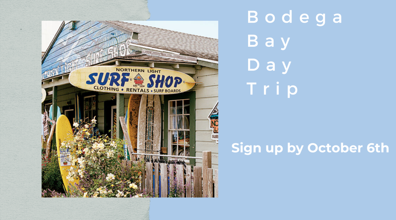Grey and light blue background; photo of a worn down surf shop on the left; reads "Bodega Bay Day Trip sign up by Oct 6th"on right