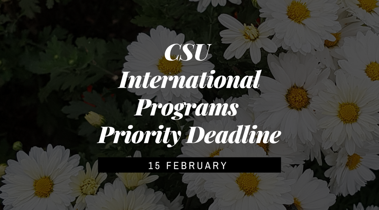 A picture of daises with a reminder to the CSU IP priority deadline (Feb 15)
