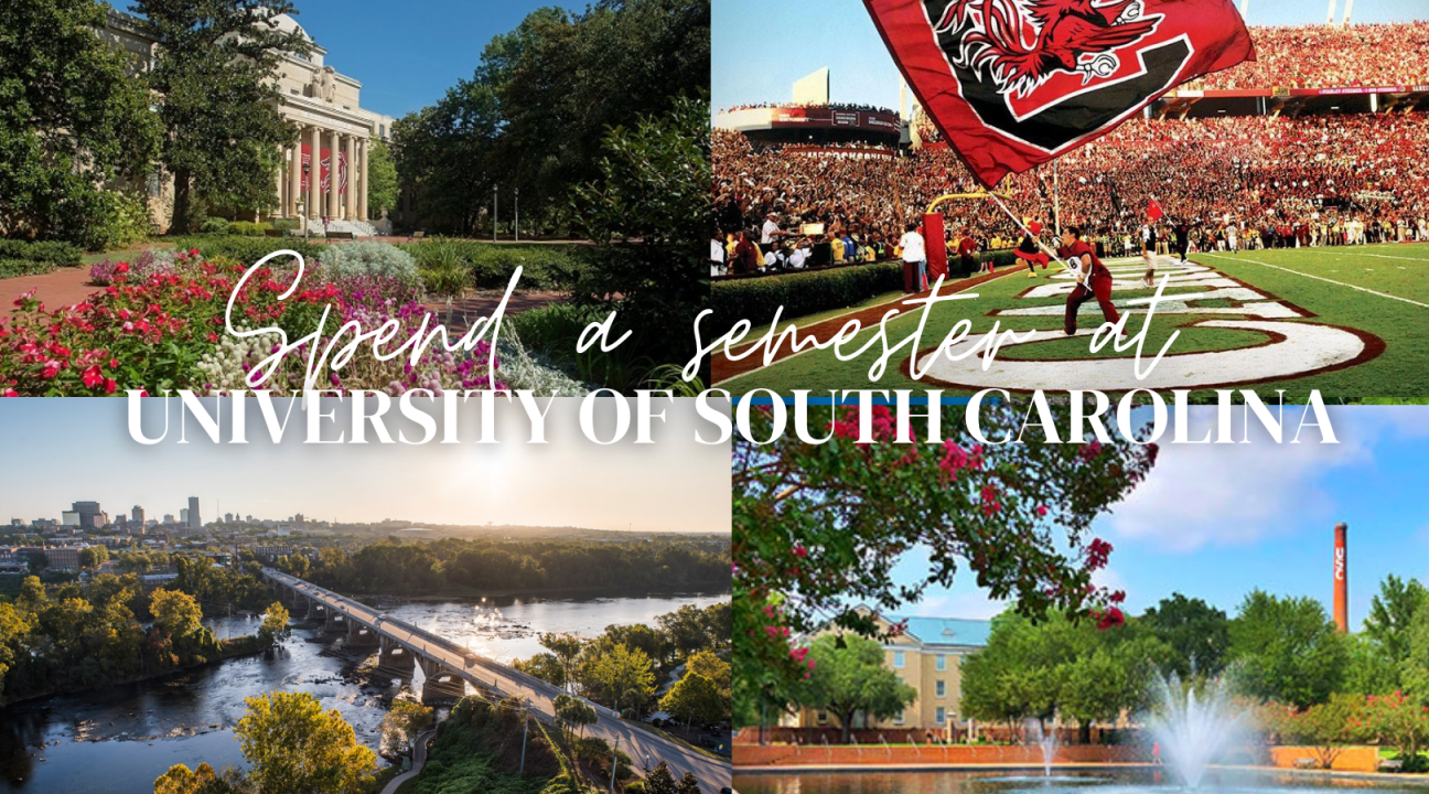 Spend a semester at university of south carolina with images from USC