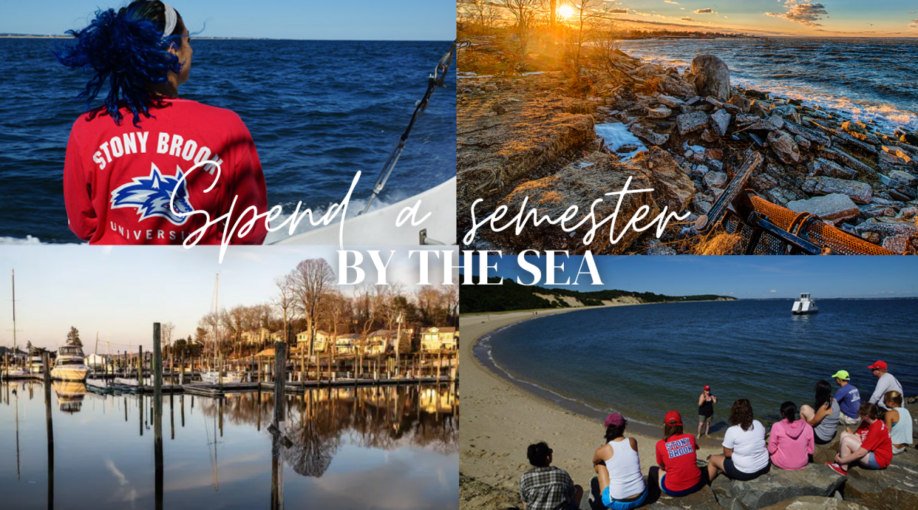 spend a semester by with photos from stony brook campus
