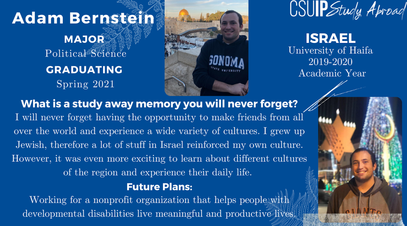 Dark blue background with white accents, info on Adam Bernstein, his photo, and where he studied away