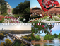 Spend a semester at university of south carolina with images from USC