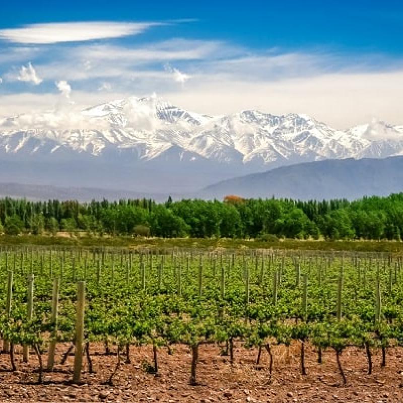 image of winery in Mendoza