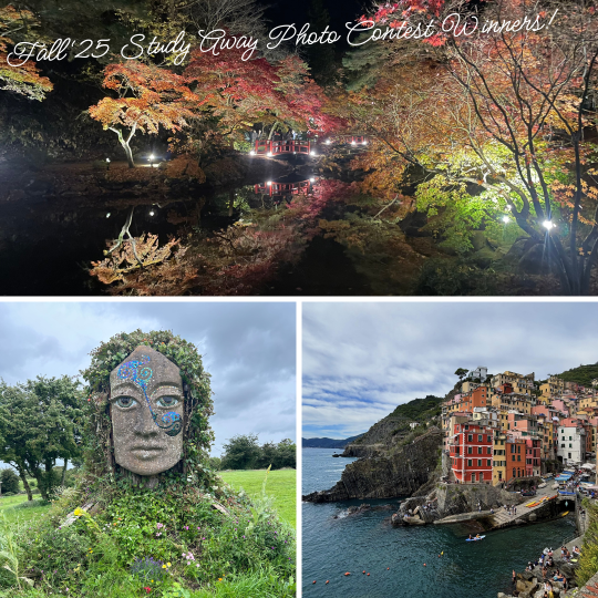Grid of three photos, one of nightime in Japan water and trees, one of a statue from ireland, one of a european coastline with buildings lining the cliffs