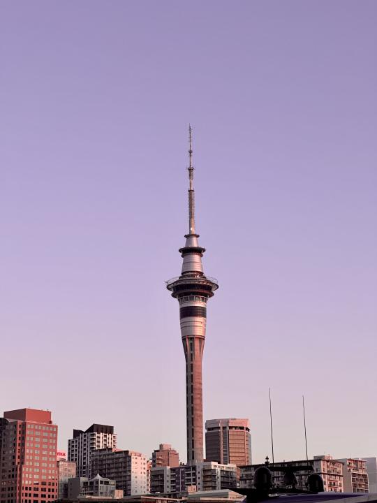 Auckland view