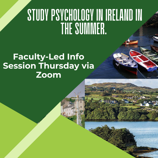 faculty led program in Ireland with images