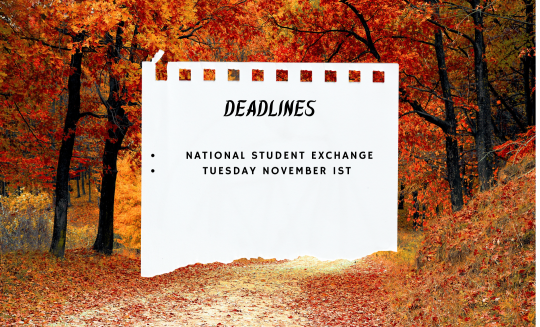 Deadline for NSE is November 1st