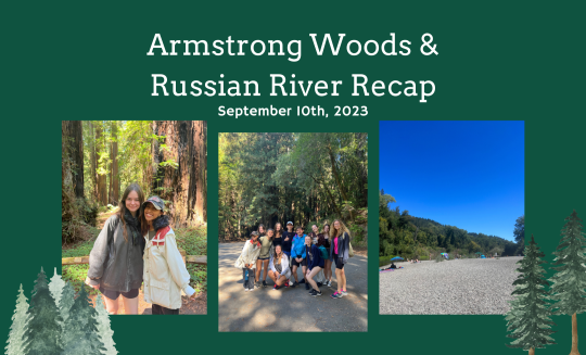 A few pictures from students at Armstrong Woods and River trip