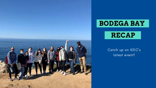 Left is an imgae of a group infront of the ocean; right reads "Bodega Bay Recap" on a navy blue banner