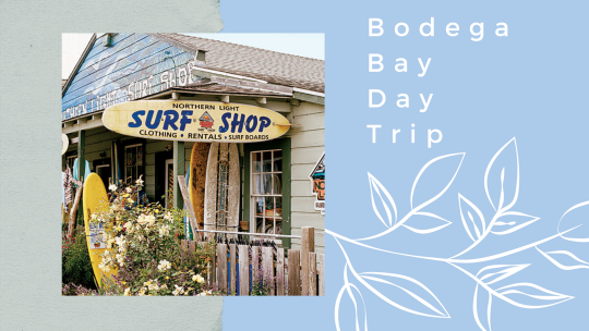 Photo of a worn down Surf Shop of the left; the right is light blue with white leaf accents and reads "Bodega Bay Day Trip"