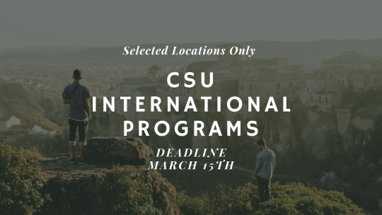People standing atop a cliff overlooking a city with info for CSU IP's March 15th deadline