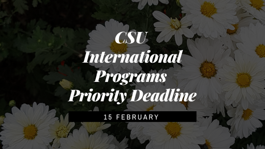 A picture of daises with a reminder to the CSU IP priority deadline (Feb 15)