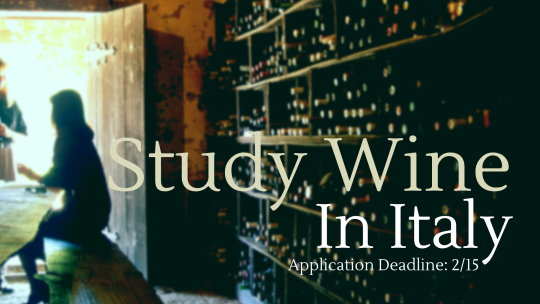 Image of Wine. Study Wine in Italy. Application Deadline 2/15