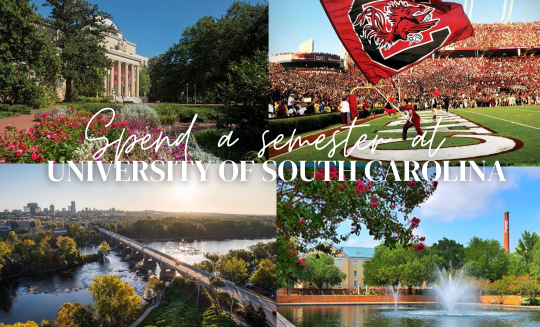 Spend a semester at university of south carolina with images from USC