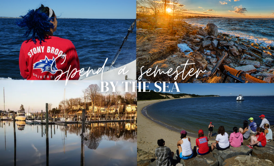 spend a semester by with photos from stony brook campus