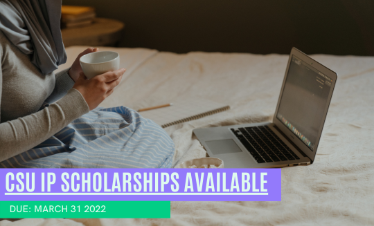 csu ip scholarship deadline march 31
