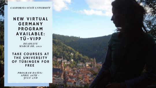 A female is looking out to a green covered hills and a European city below with info on the virtual Tü-VIPP program