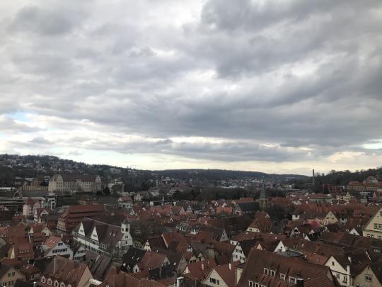 View of German city Tübingen from above